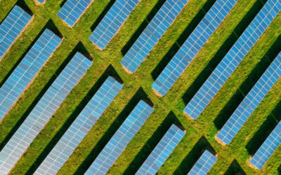 News Grid Connection And Energy Storage Delays Are Holding Up Decarbonisation Efforts MPs Warn