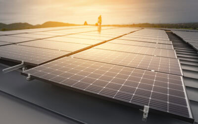 Blog Solar Still Works in Winter – Understanding Seasonal Performance
