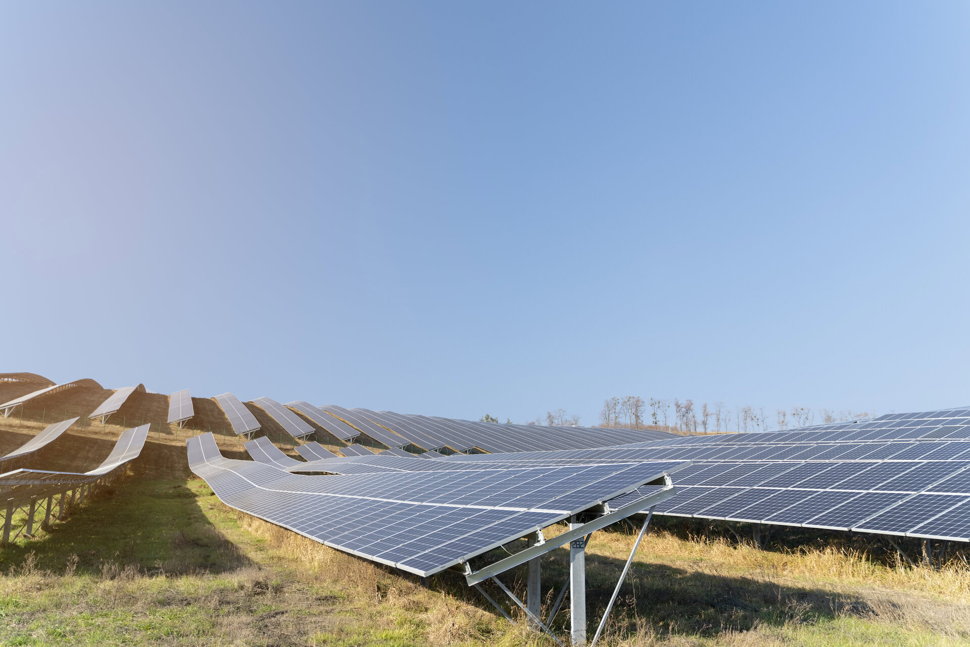 solar farm consultancy