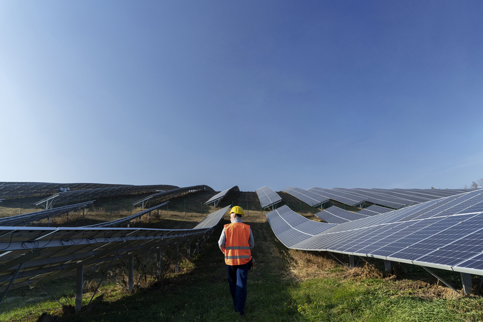 green energy consultancy